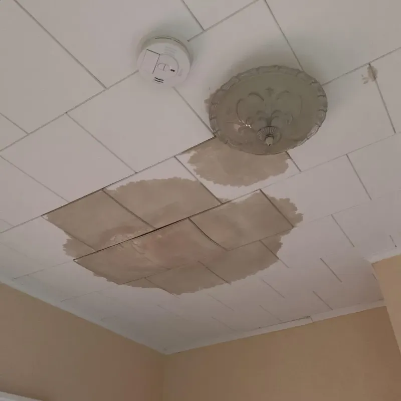 Ceiling Water Damage Repair in Graham, NC