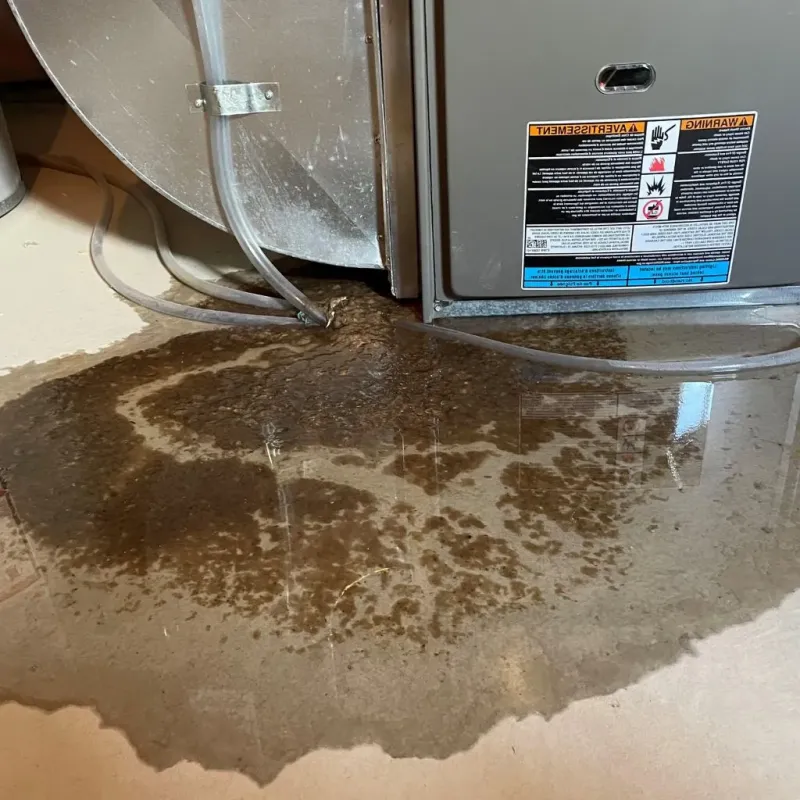 Pipe Burst and Leak Restoration in Graham, NC