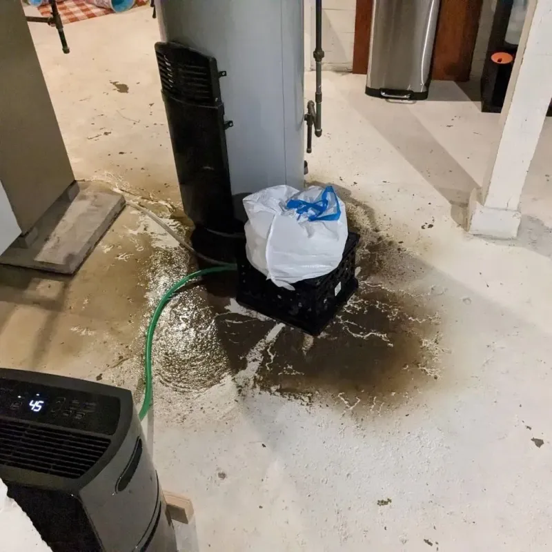 Sewage Backup Cleanup Service in Graham, NC